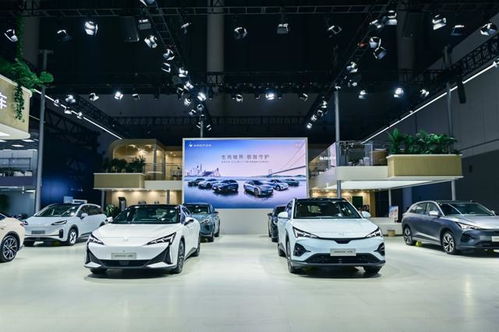 8月新能源汽車銷量榜盤點 零跑強勢殺入前五，極越首登牌桌